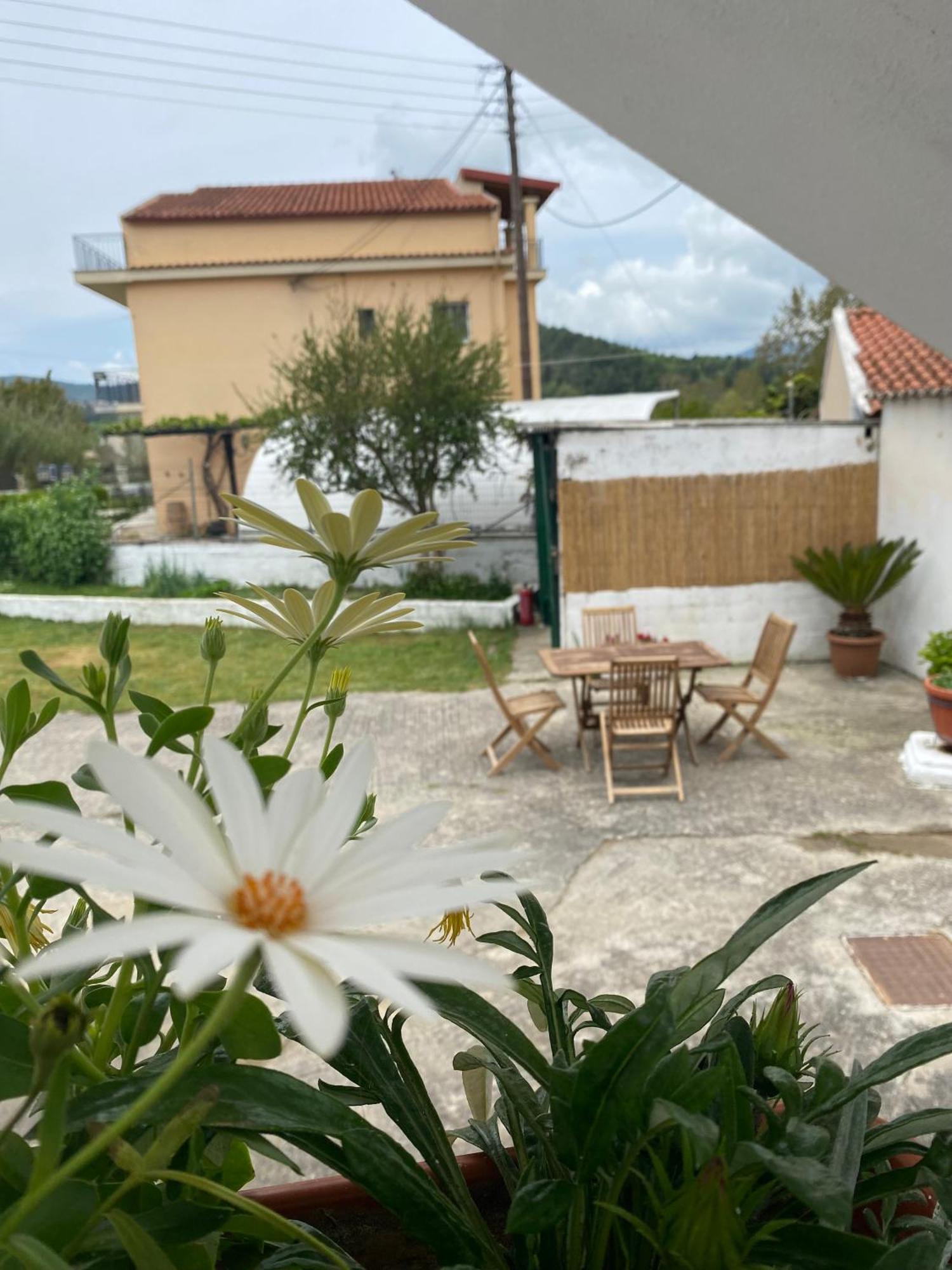 Navy Apartment With Mountain View &Private Parking Vátos Zewnętrze zdjęcie
